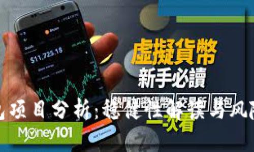 TP钱包项目分析：稳健性解读与风险评估